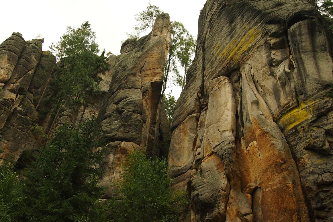 Qui accusantium delectus aut