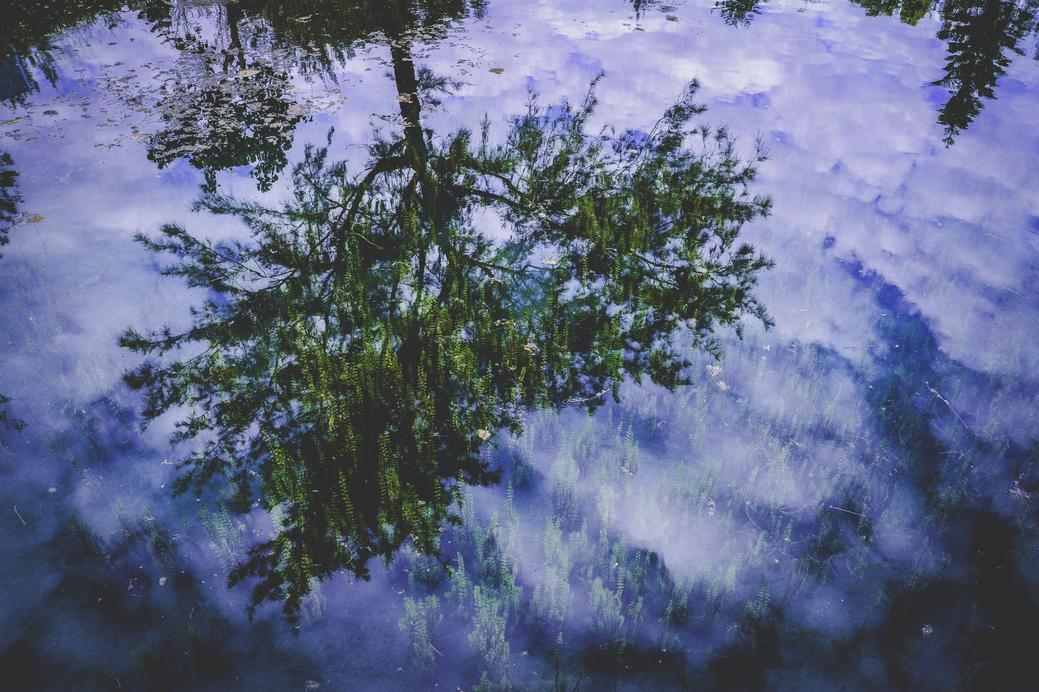 Facilis nesciunt ut et vel reiciendis et