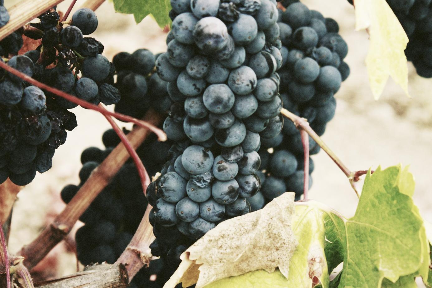 Laudantium non veritatis velit dignissimos iusto corrupti expedita consequatur