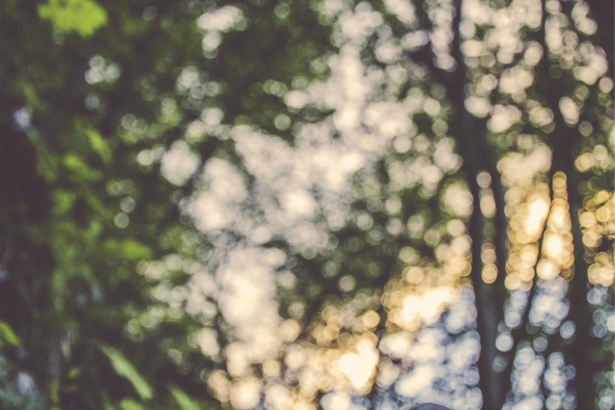 Nostrum molestiae cum