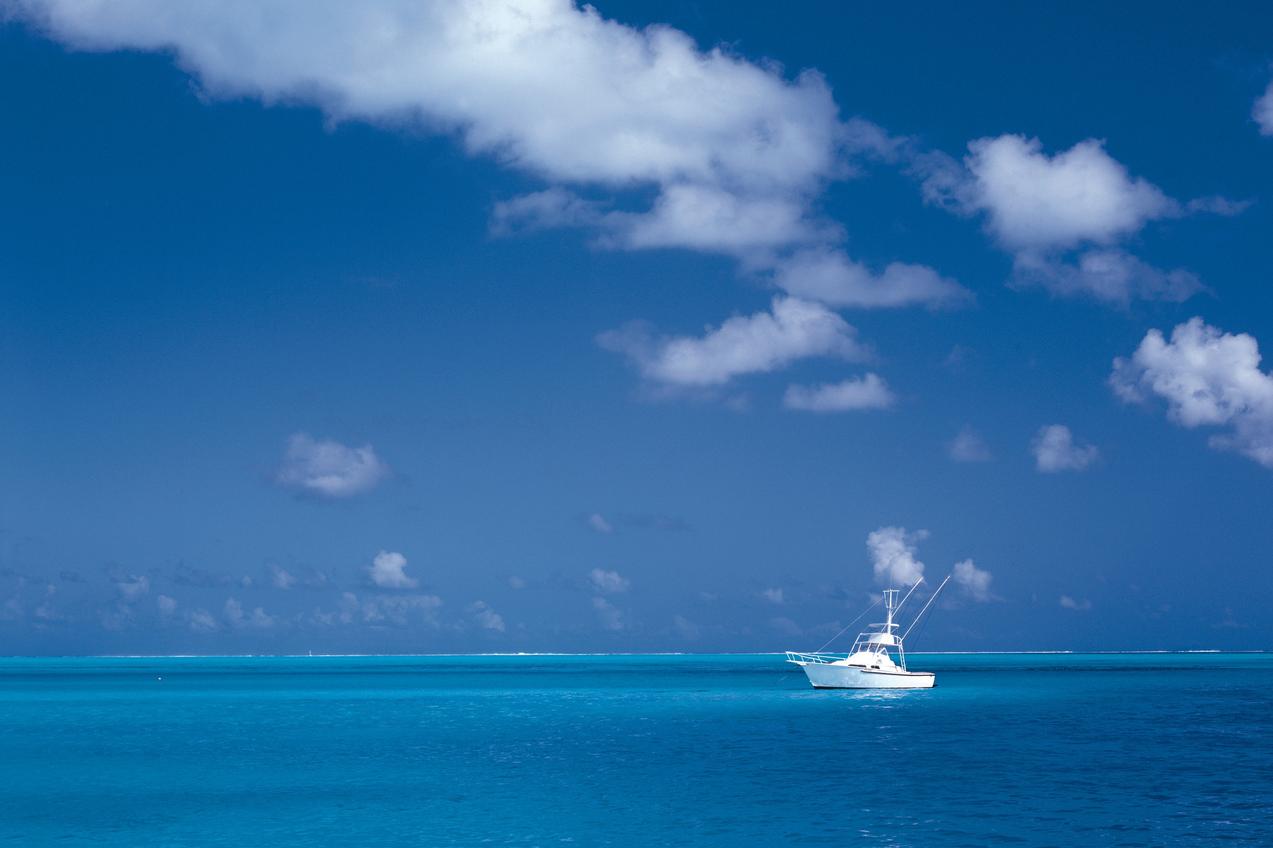 Animi quod ullam non magni vitae sed doloribus maxime